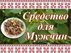 Простой Рецепт для Профилактики ПРОСТАТИТА. Кора Осины + Спирт 70%