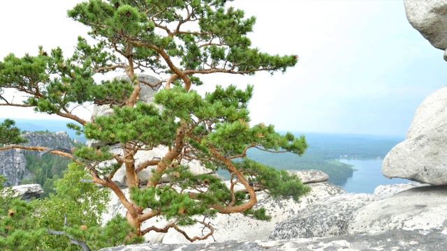 Песня о любви - Павел Майоров смотреть онлайн