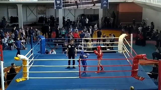 Бой Кулакова Ильи и Емельянова Семена смотреть онлайн