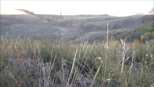Primos Power Buck & Doe Deer Grunt & Bleat Call Review by MUDD CREEK смотреть онлайн