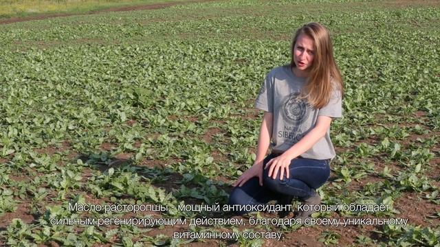 Масло расторопши: полезные свойства, применение в косметологии. Уход за кожей смотреть онлайн