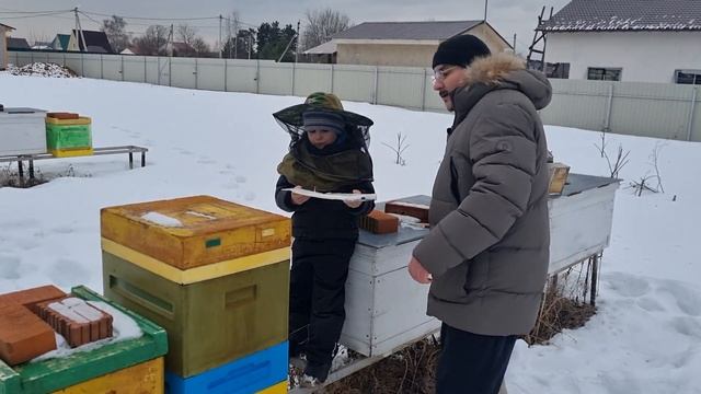 ? Лечение на пасеке от клеща Варроа и нозематоза во время зимовки пчёл на улице 2022 ? смотреть онлайн