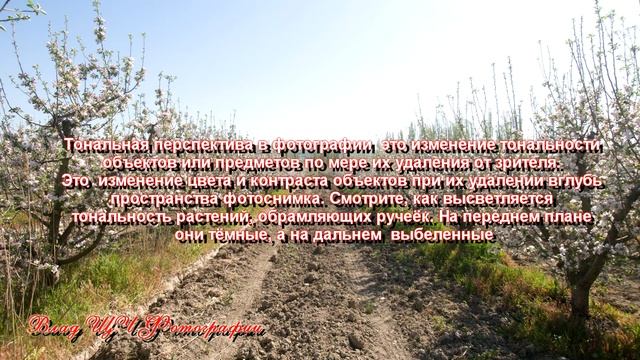 Зачем нужны разные объективы. Как меняется перспектива в фотографии от фокусного расстояния съемки смотреть онлайн