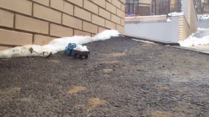 МТЗ-80 "БЕЛАРУС" радиоуправляемый трактор RC Hachette масштаб 1:43