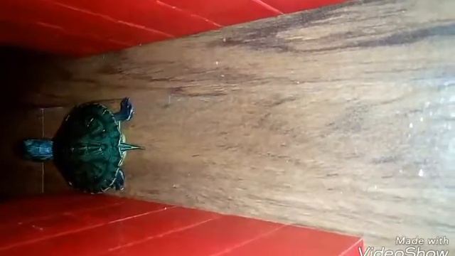 CLESHER проходит квесты,что пошло не так смотреть онлайн