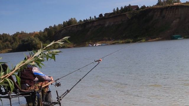 РЫБАЛКА на ФИДЕР осенью. Ловля язя на сильном течении. смотреть онлайн