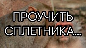 ПРОУЧИТЬ СПЛЕТНИКА…ДЛЯ ВСЕХ…