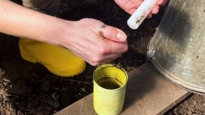 Самое дешевое и простое отопление теплицы ранней весной. Обогрев теплицы для раннего урожая.