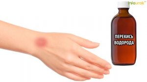 Лес и его обитатели | Классные часы и ОБЖ #70 | Инфоурок