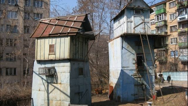 Голуби из детства смотреть онлайн