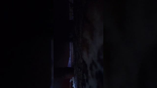 ну хоть что то умеет делать смотреть онлайн
