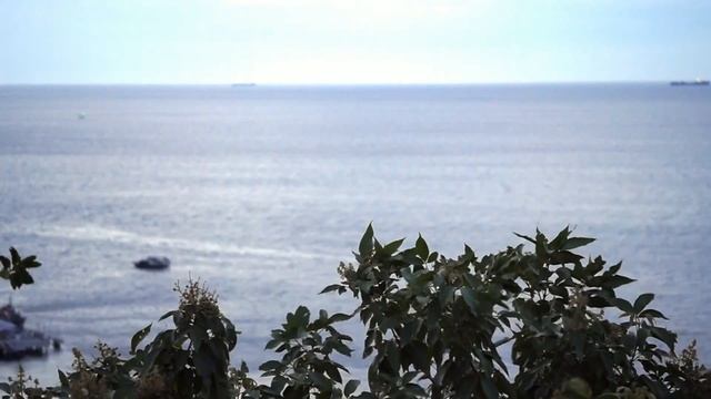 Sony a3500 VDO Test at Koh Larn смотреть онлайн