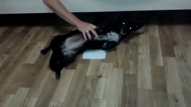 Как правильно мыть пол. смотреть онлайн