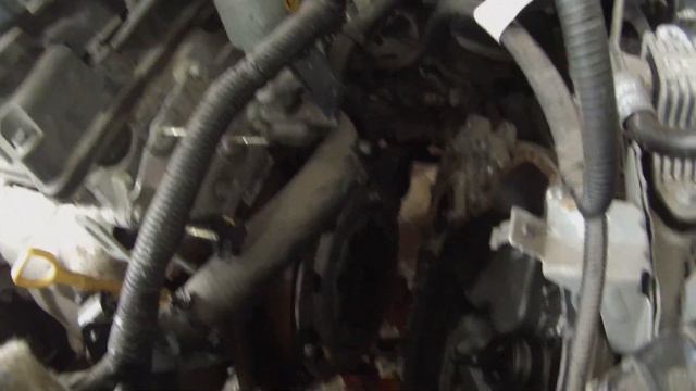 Интерьерные тренды