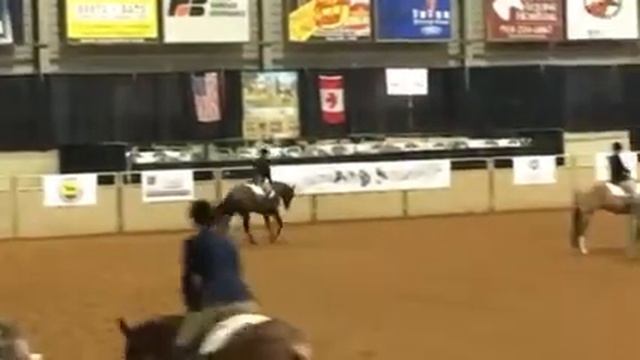 2016 pwc stedman 3yr old hud смотреть онлайн