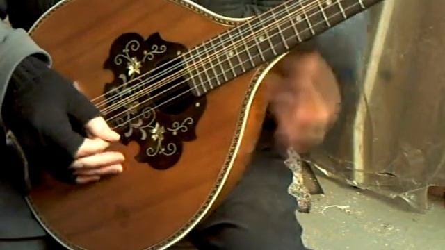 12 string waldzither смотреть онлайн
