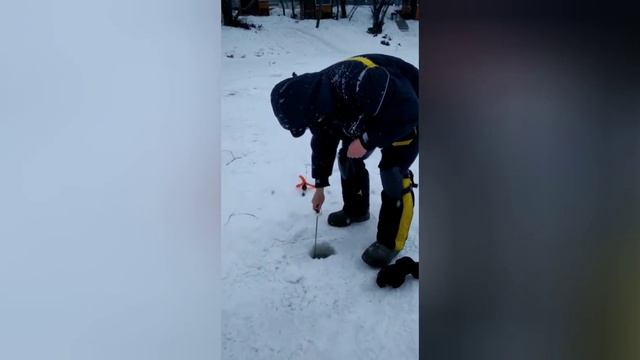 КРХ Белая Дача форель смотреть онлайн