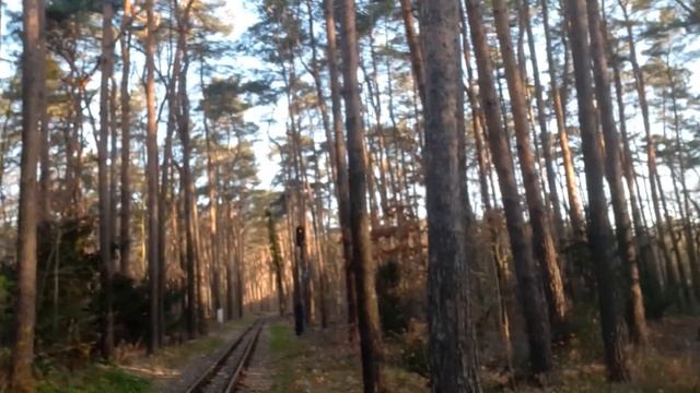 Rilke- Пастернак/3.04.20/ Созерцание+ За книгой/ Oma für meine Enkel/Berlin смотреть онлайн