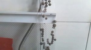 Бойлы на сома .