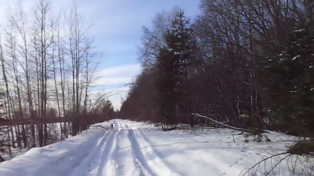 снег скрипит под сапогами... смотреть онлайн