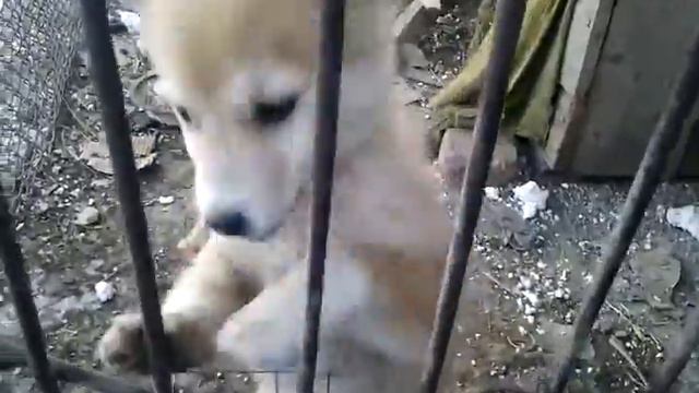 video 2013 01 19 16 17 48 смотреть онлайн