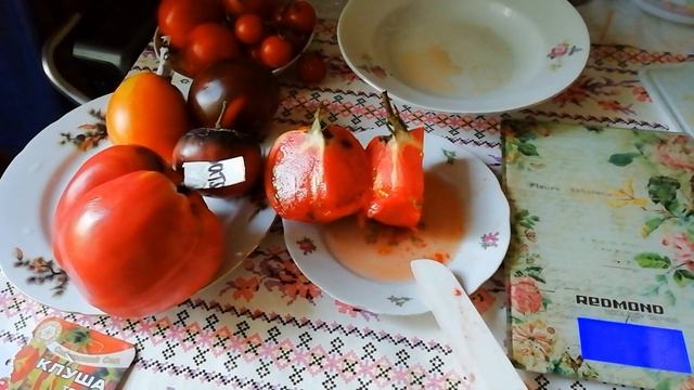 САМЫЙ СЛАДКИЙ ТОМАТ. УРОЖАЙНЫЙ ТОМАТ. ДЕГУСТАЦИЯ ТОМАТОВ. АГРОФИРМА ПАРТНЕР ПРОТИВ СИБИРСКИЙ САД. смотреть онлайн