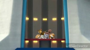 ЩЕНЯЧИЙ ПАТРУЛЬ РИТП