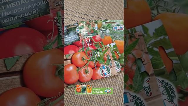 Томаты не требуют пасынкования!