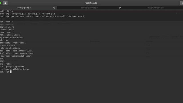 How to setup HostBased access control in IPA server on Centos 8 смотреть онлайн