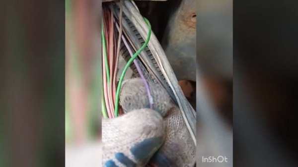 продолжаю ремонт проводки  IVECO stralis