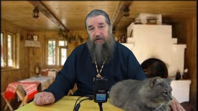 Если ребенка в школе гнобят смотреть онлайн