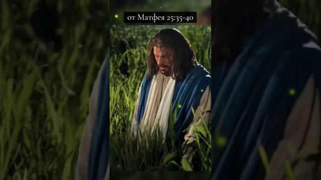 евангелие от Матфея #господь #любовьбожья #библия #веравбога #иисусхристос смотреть онлайн