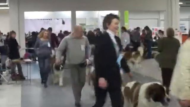 Монка МС питомник Из царскосельской усадьбы .MP4 смотреть онлайн