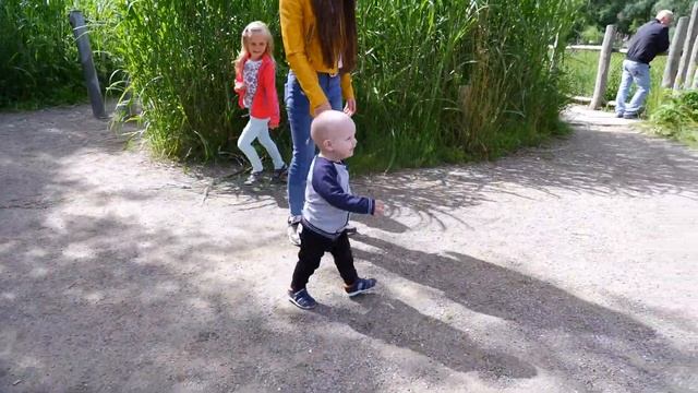 ЗООПАРК В ДАНИИ. ODENSE ZOO смотреть онлайн