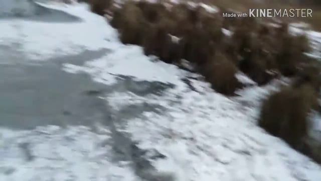 Артём прыгает на льду ШОК!!! смотреть онлайн
