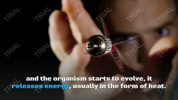 Ilya Prigogine chaos theory|Educational video