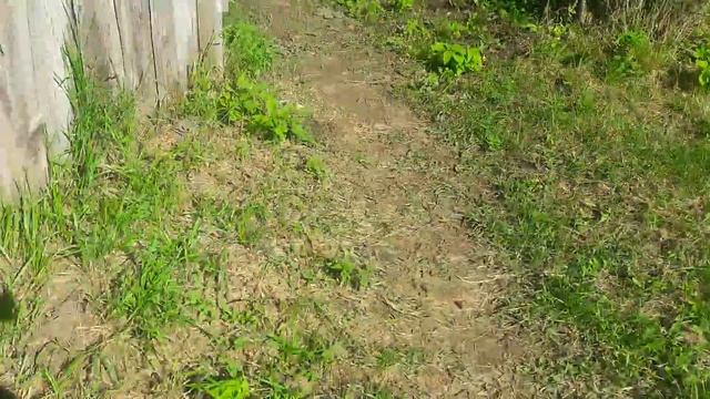 лучший способ против крыс смотреть онлайн