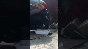 Замена масла редуктора, скутер Honda Tact 51