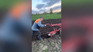 Вспашка земли мотоблоком Мтз. (В конце интересно ?
