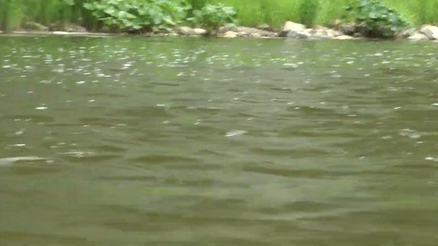 Сплав и рыбалка на реке Ай. Поймал хорошего жереха смотреть онлайн