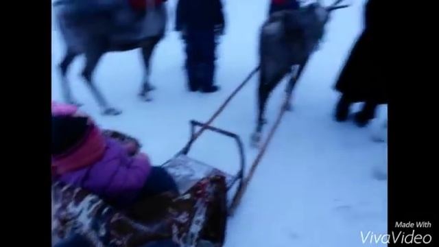Ледовый городок смотреть онлайн