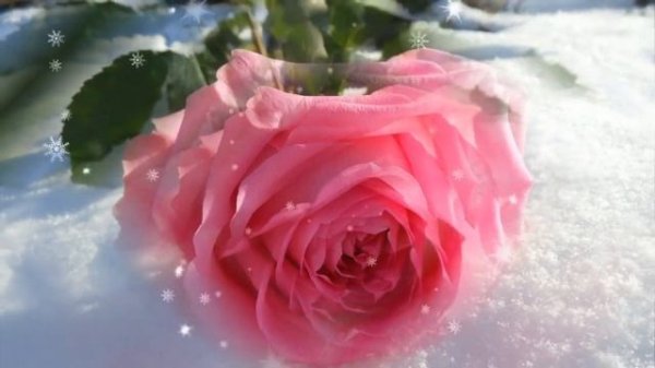 Миллион-миллион-миллион светлых дней... С Днём Рождения!