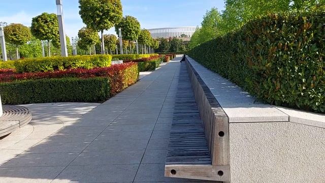 Французский сад и араукария чилийская в Парке Галицкого смотреть онлайн