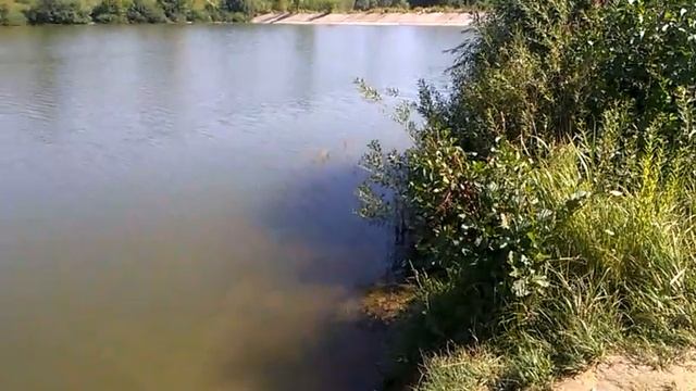 0573, город Орёл, Орловский район, река Мезенка, Нижний Мезенский пруд, пляж, плотина, Зелёный Шум смотреть онлайн