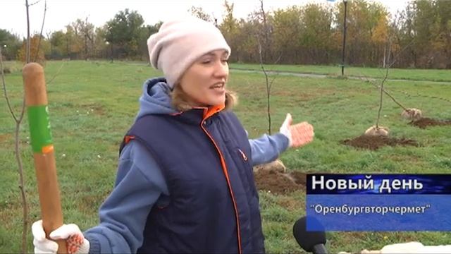 Зеленый фонд городского парка пополнился новыми насаждениями смотреть онлайн