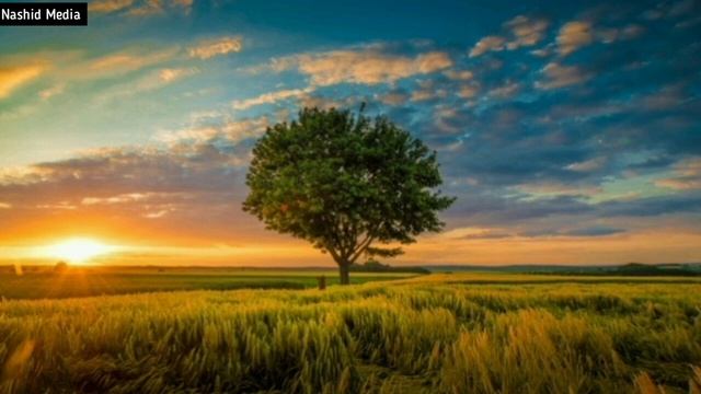 Мощный нашид ???#Мощные нашиды