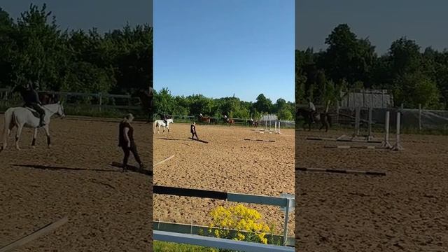 конный клуб♥️?//первый галоп! смотреть онлайн