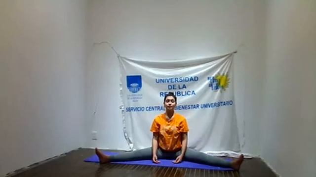 Stretching 13/04/21, Lic. Nadia Gogna. Deportes Bienestar Universitario, Udelar. смотреть онлайн