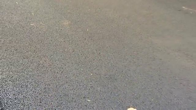 На дорогах Ярославской области появится инновационный асфальт смотреть онлайн