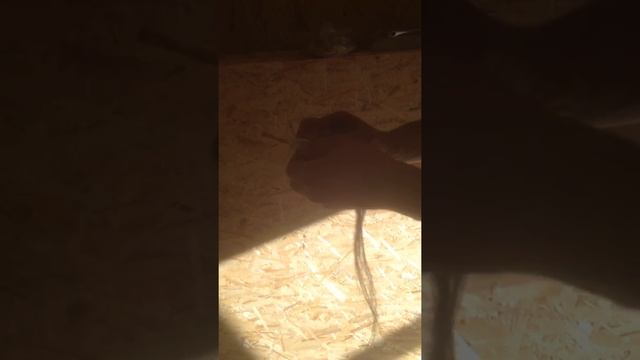 Как правильно установить футорку без протечек смотреть онлайн